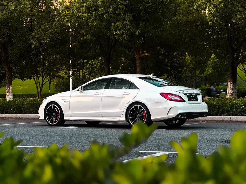 Mercedes-Benz CLS AMG — фото 14