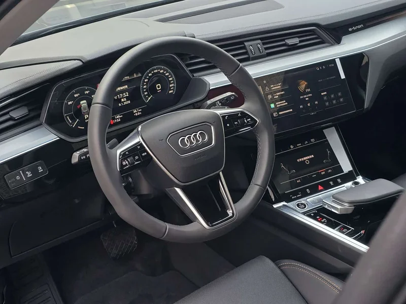 Audi e-tron — фото 23