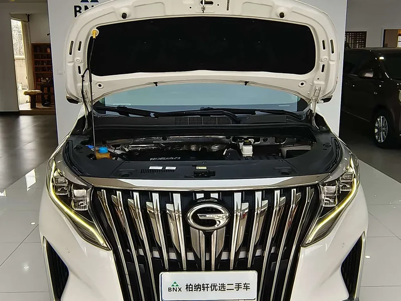 GAC Trumpchi M8 — фото 25