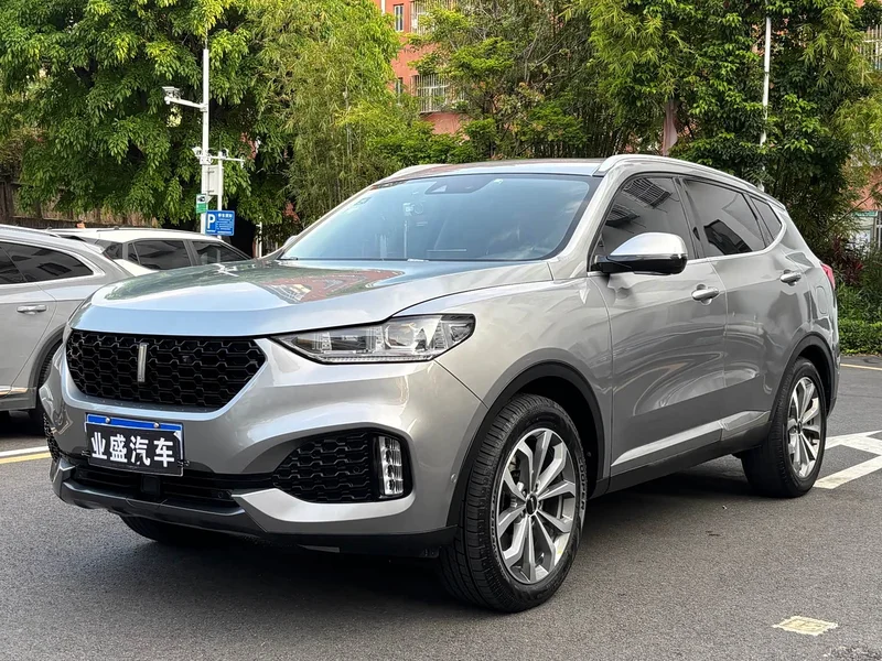 Wey VV6