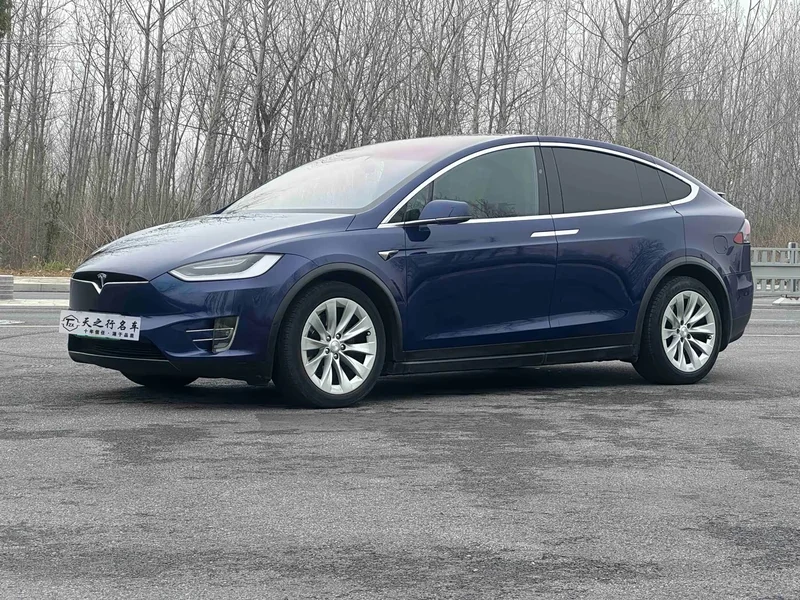Tesla Model X — фото 1
