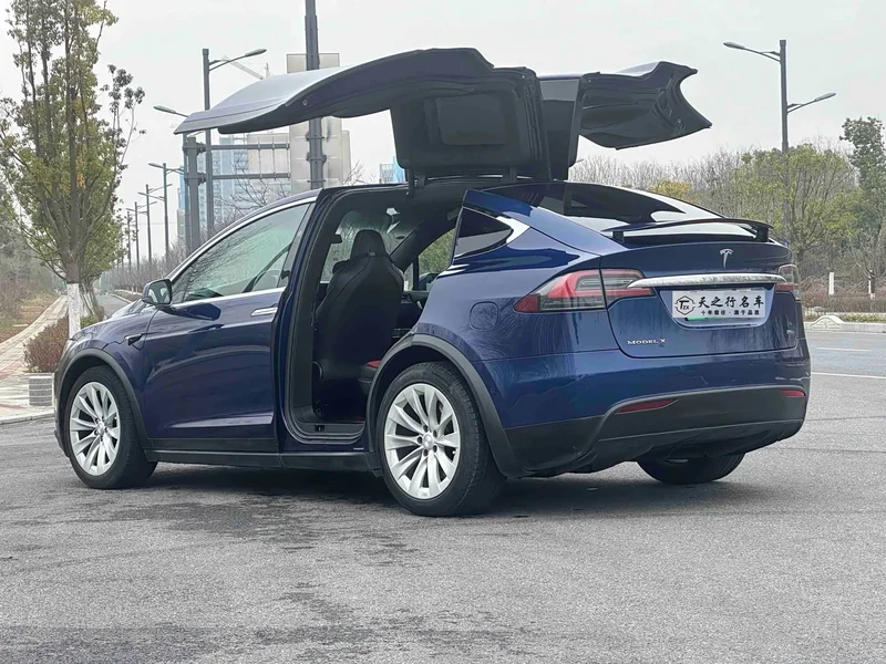 Tesla Model X — фото 11