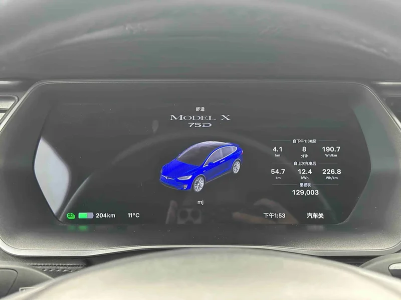 Tesla Model X — фото 13