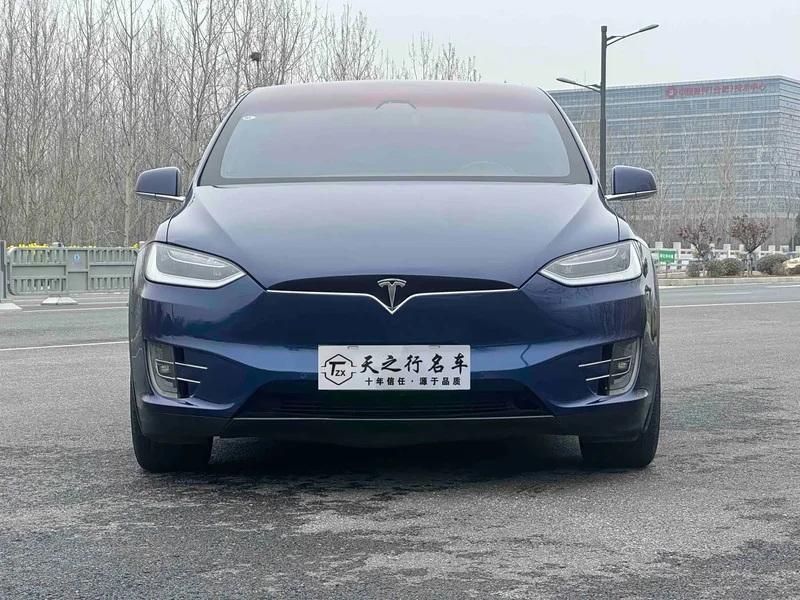 Tesla Model X — фото 2