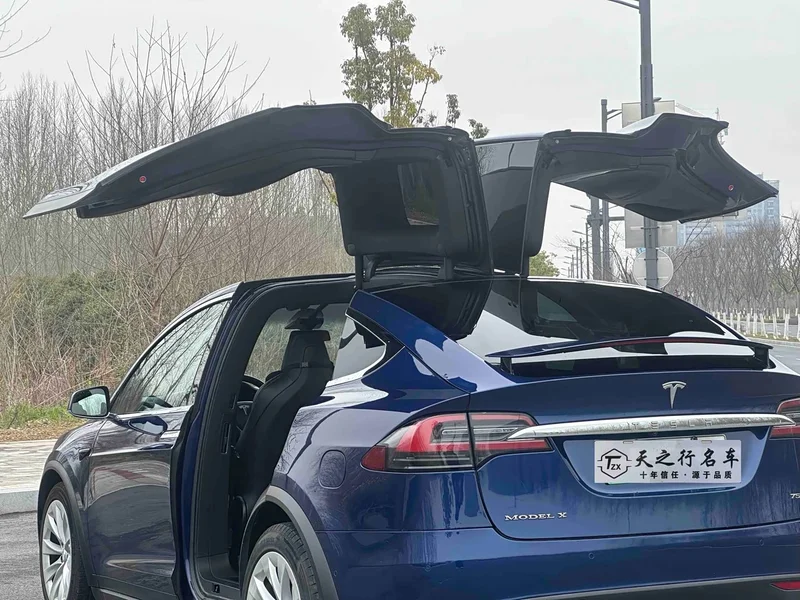 Tesla Model X — фото 4