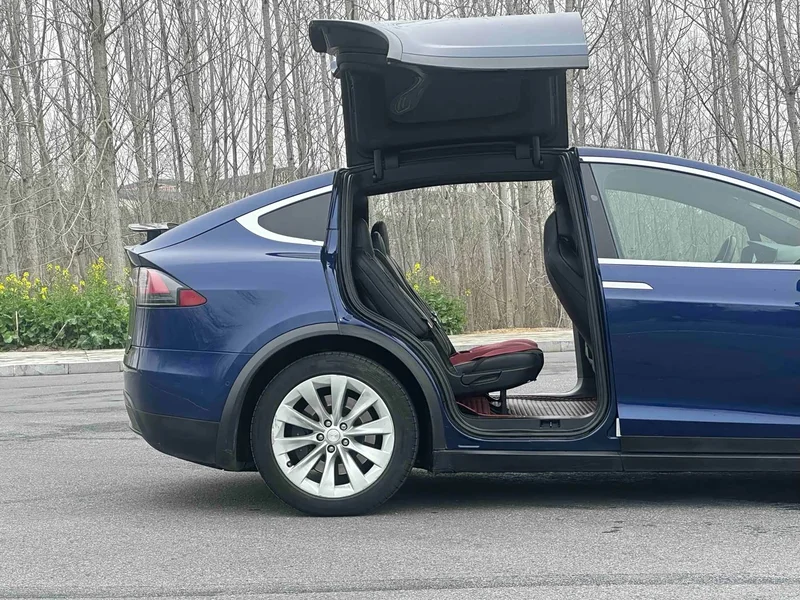 Tesla Model X — фото 8
