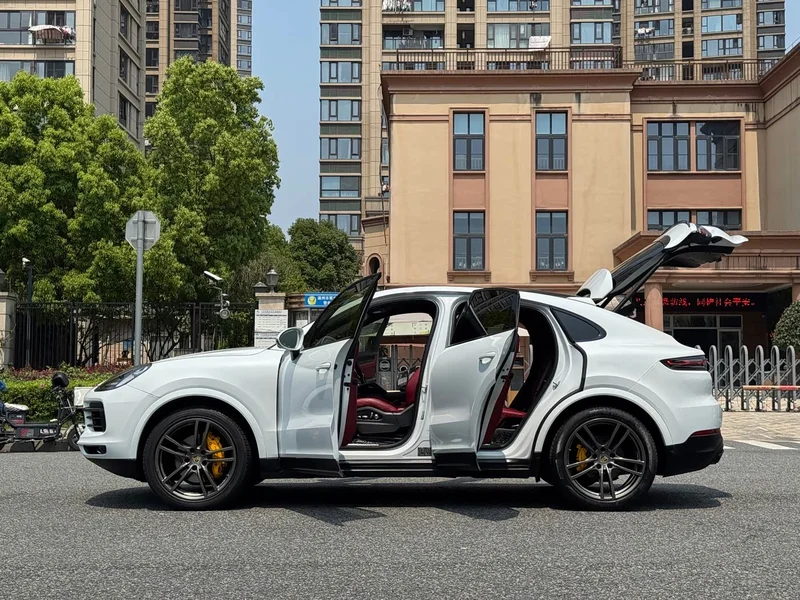 Porsche Cayenne — фото 18