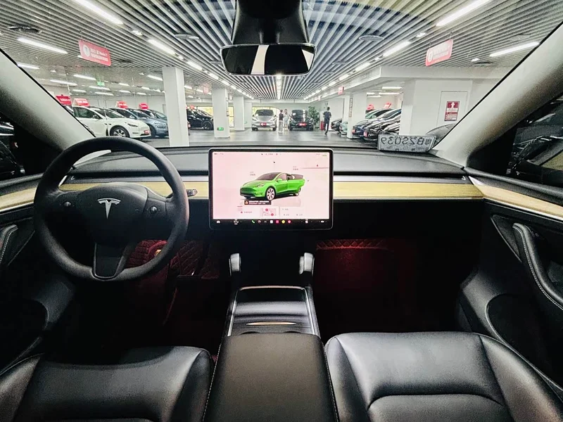 Tesla Model Y — фото 9