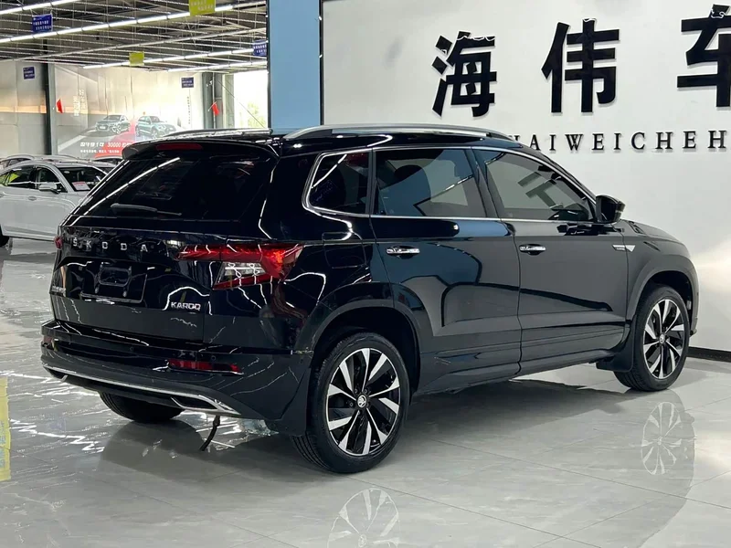 Skoda Karoq — фото 12