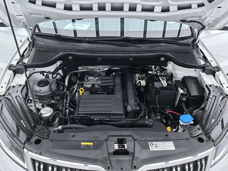 Skoda Karoq — фото 19