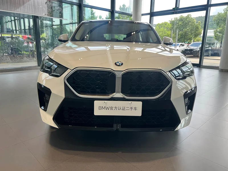 BMW X2 — фото 2
