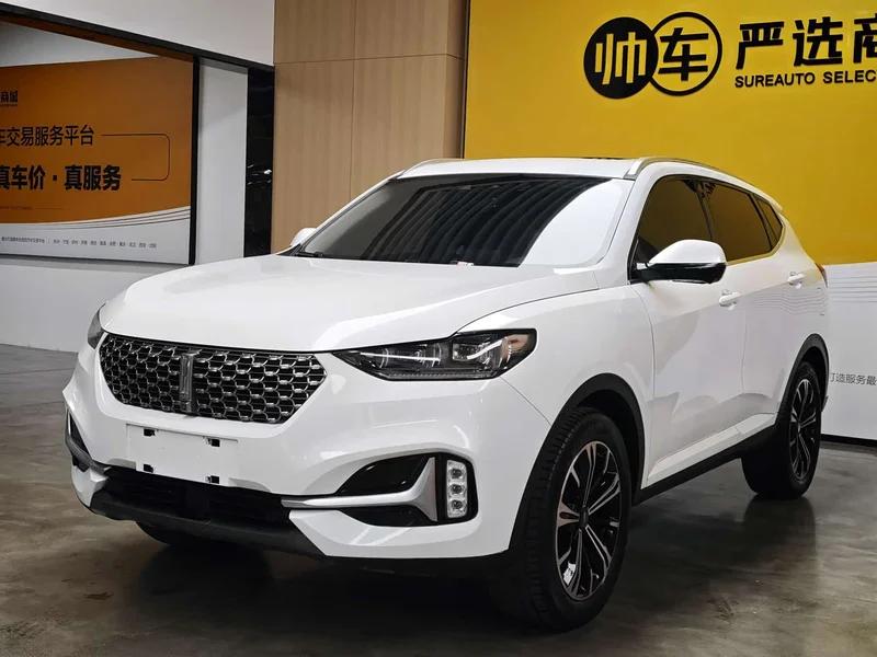 Wey VV6