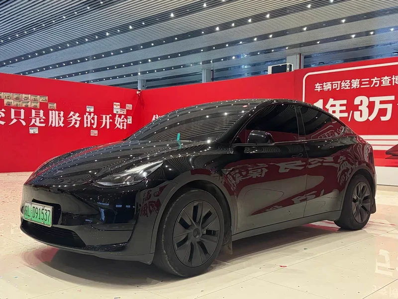 Tesla Model Y — фото 1