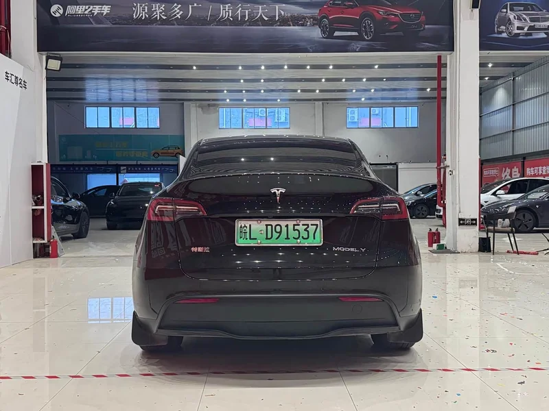 Tesla Model Y — фото 5