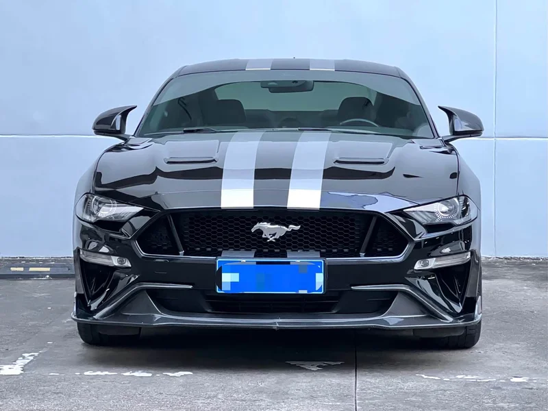 Ford Mustang — фото 2