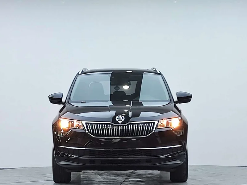 Skoda Karoq — фото 3