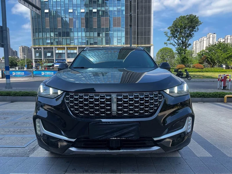 Wey VV6