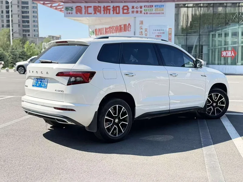 Skoda Karoq — фото 6