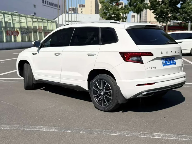 Skoda Karoq — фото 8