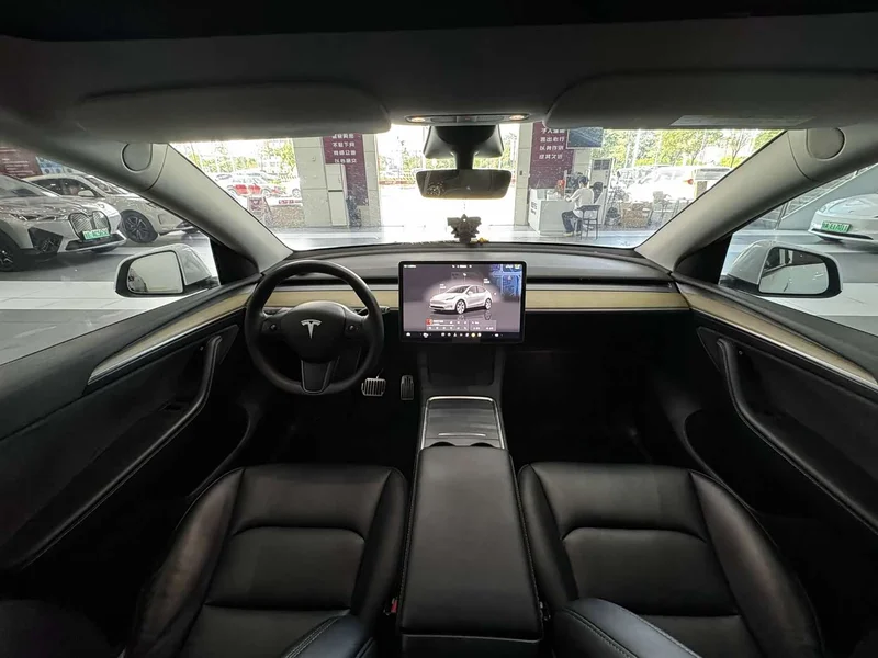 Tesla Model Y — фото 11