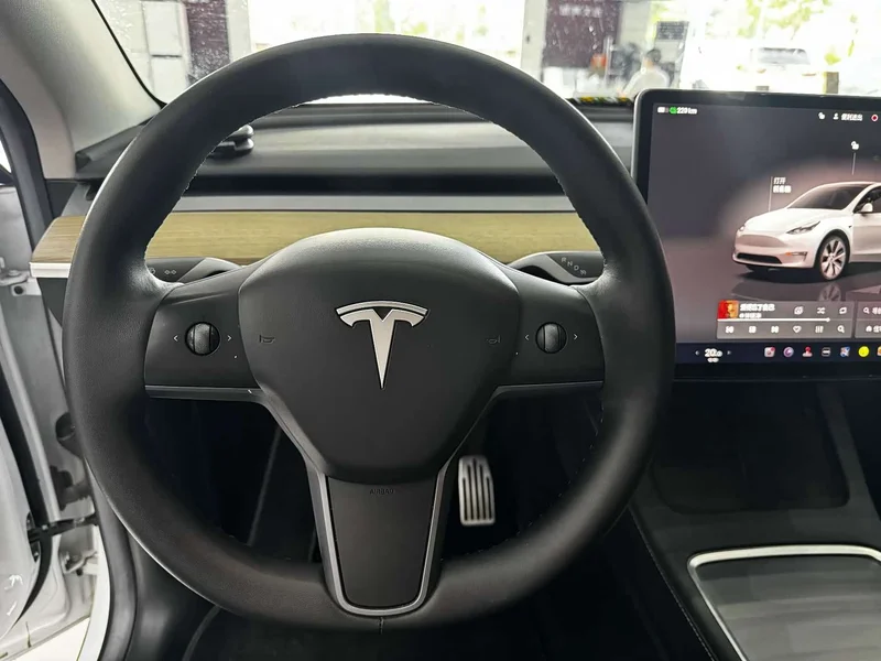 Tesla Model Y — фото 14
