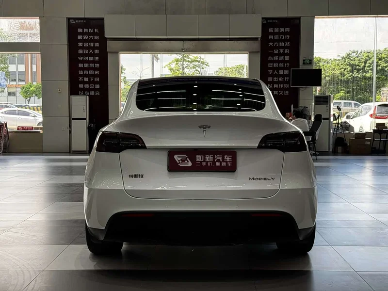 Tesla Model Y — фото 6