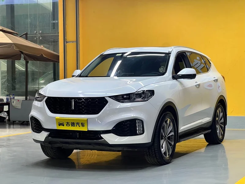 Wey VV6