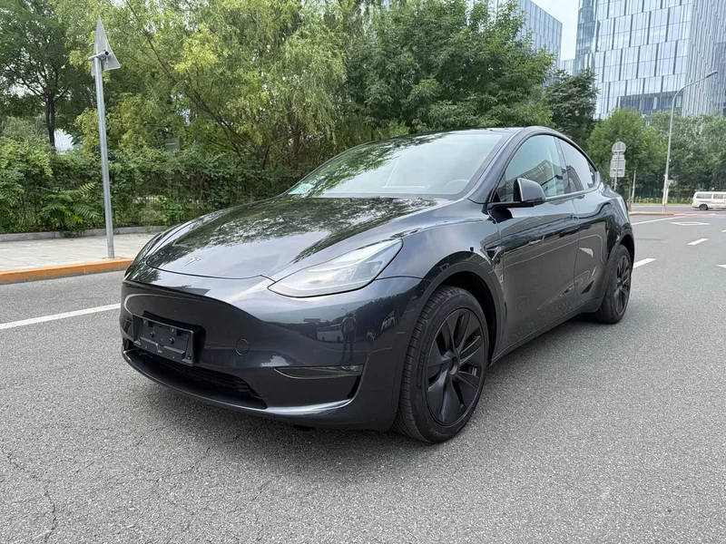 Tesla Model Y — фото 1
