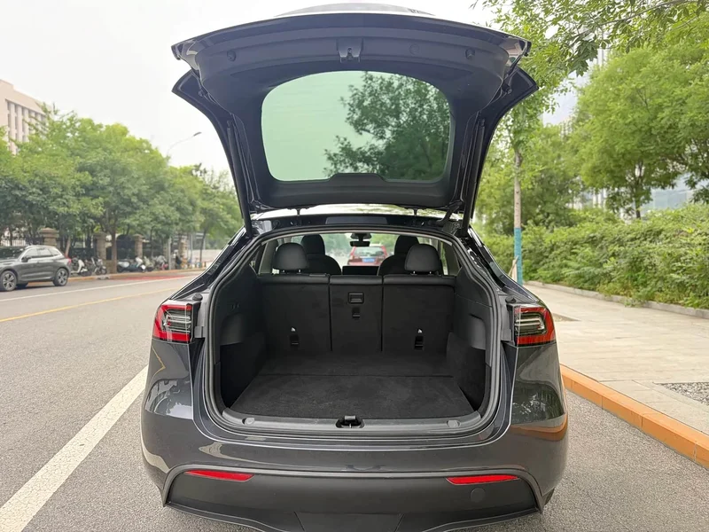 Tesla Model Y — фото 14
