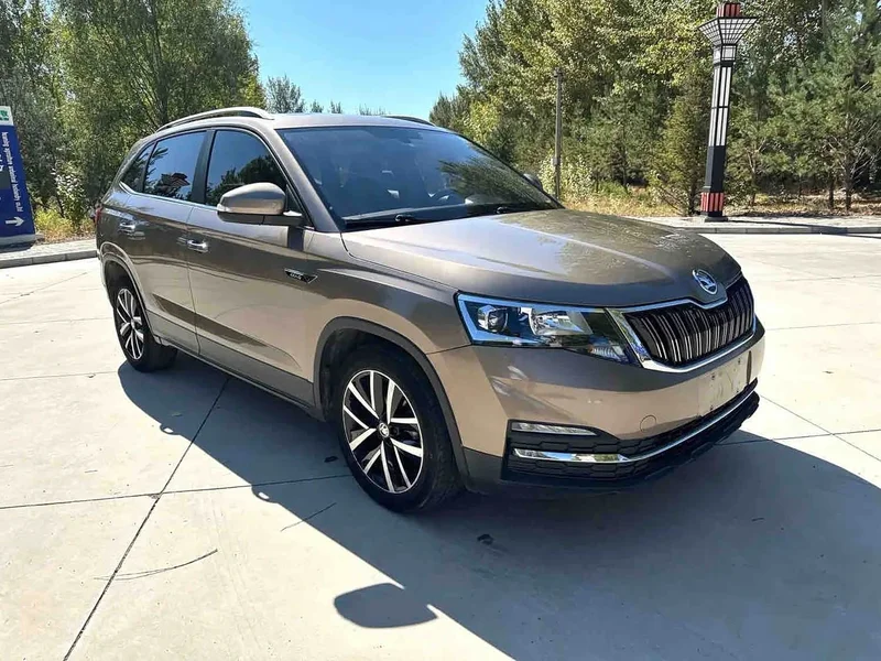 Skoda Kamiq — фото 3