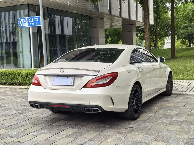 Mercedes-Benz CLS AMG — фото 50