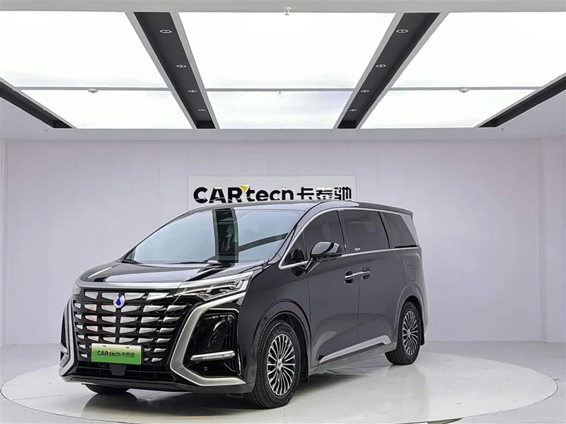 Denza D9