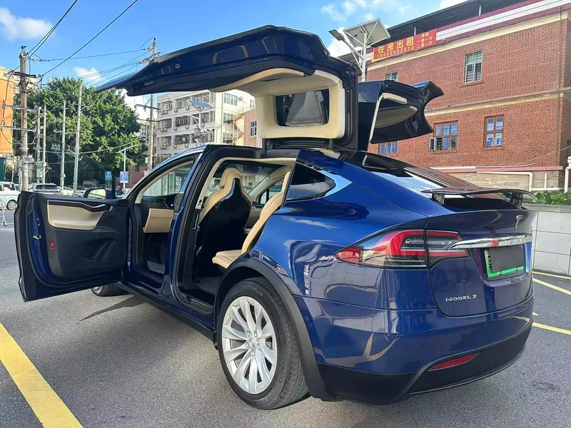 Tesla Model X — фото 10