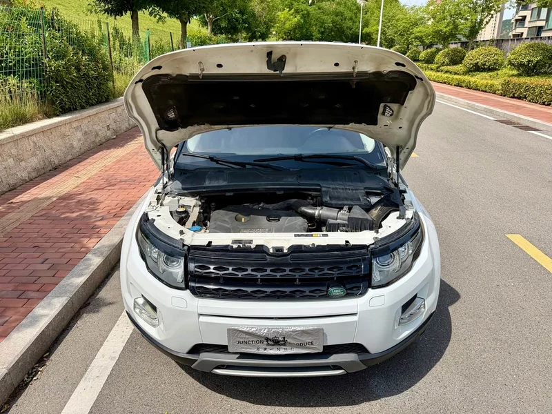 Land Rover Range Rover — фото 15