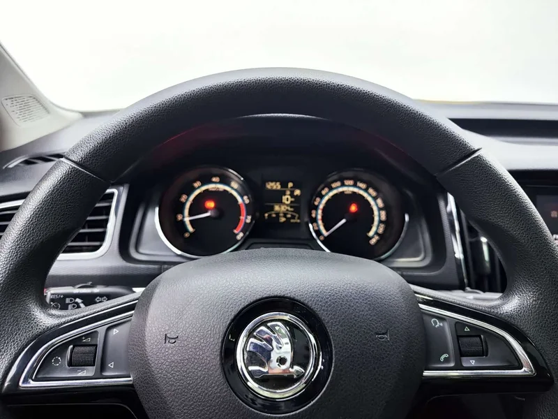 Skoda Kamiq — фото 16