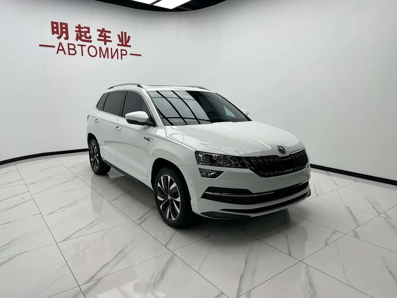 Skoda Karoq — фото 3