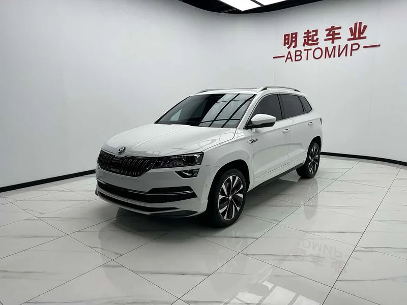 Skoda Karoq — фото 4