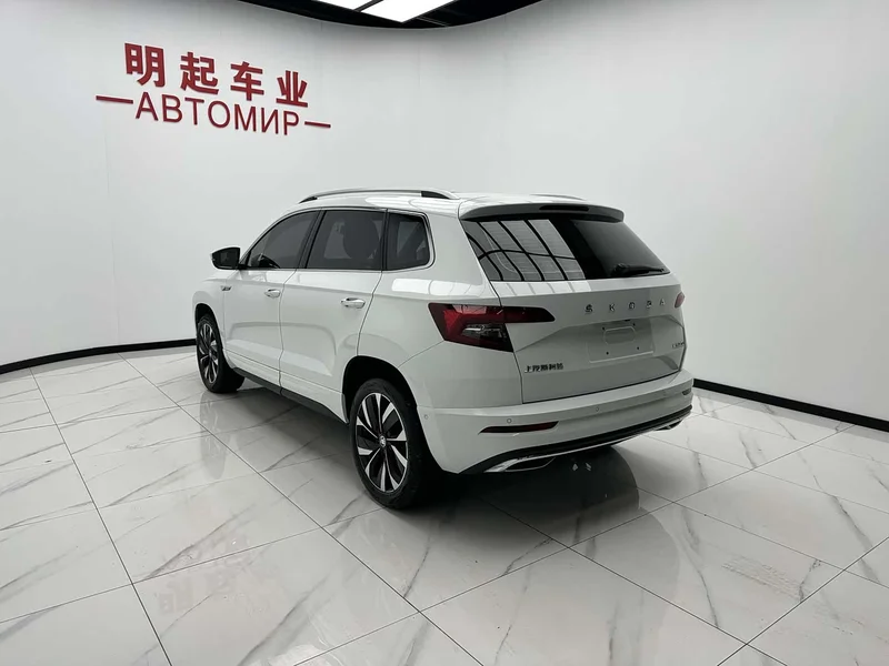 Skoda Karoq — фото 8