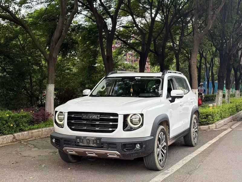 Haval Dagou