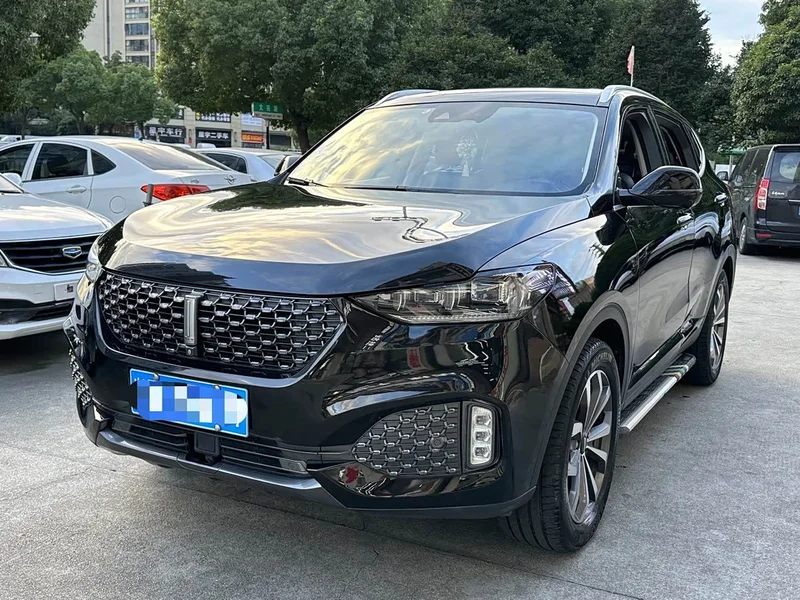 Wey VV6