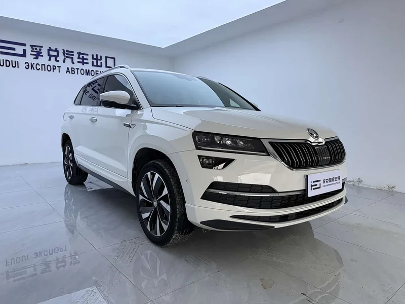 Skoda Karoq — фото 3