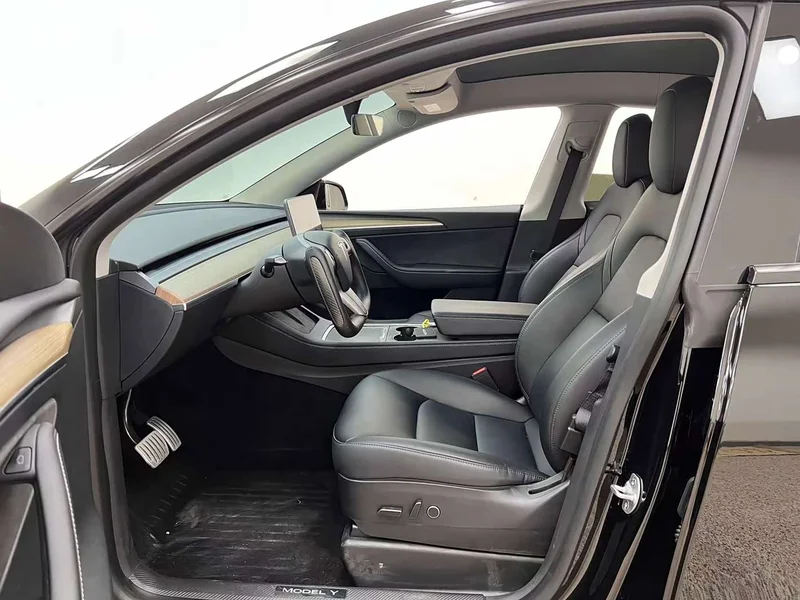 Tesla Model Y — фото 14