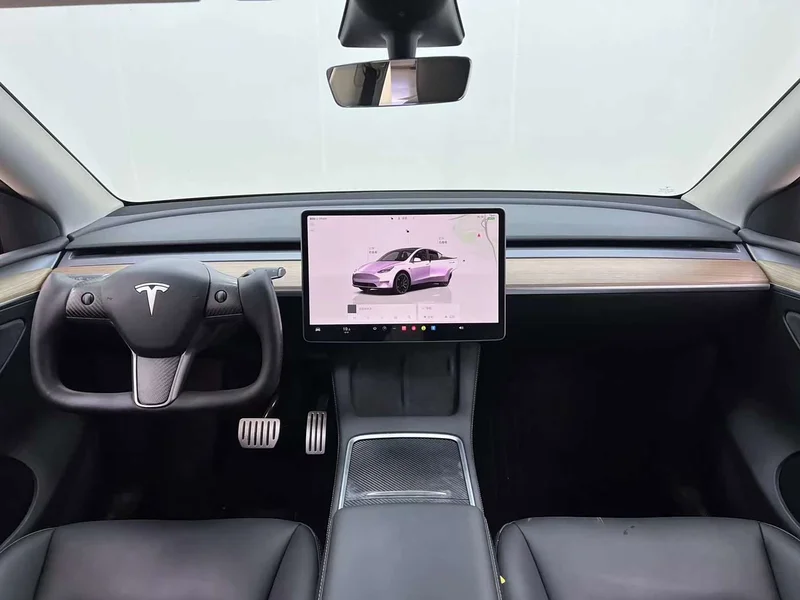 Tesla Model Y — фото 20