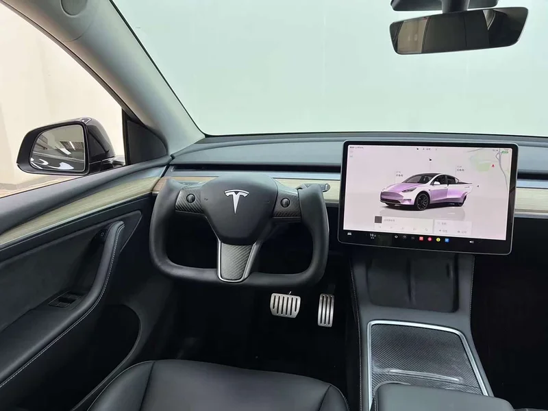 Tesla Model Y — фото 21