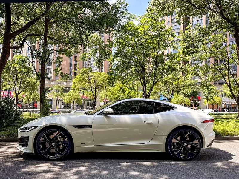 Jaguar F-TYPE — фото 3