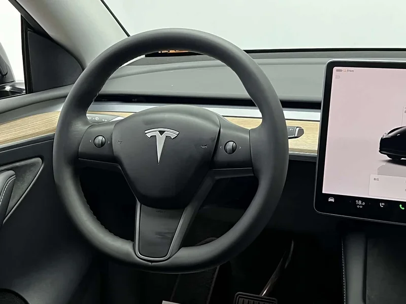 Tesla Model Y — фото 20