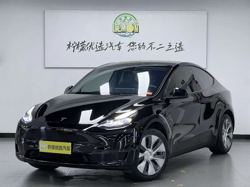 Tesla Model Y — фото 2