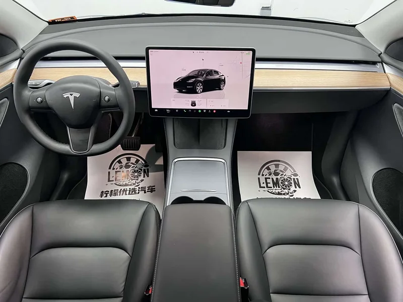 Tesla Model Y — фото 23