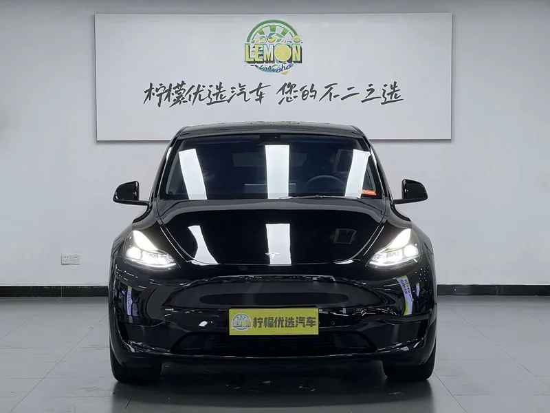 Tesla Model Y — фото 3