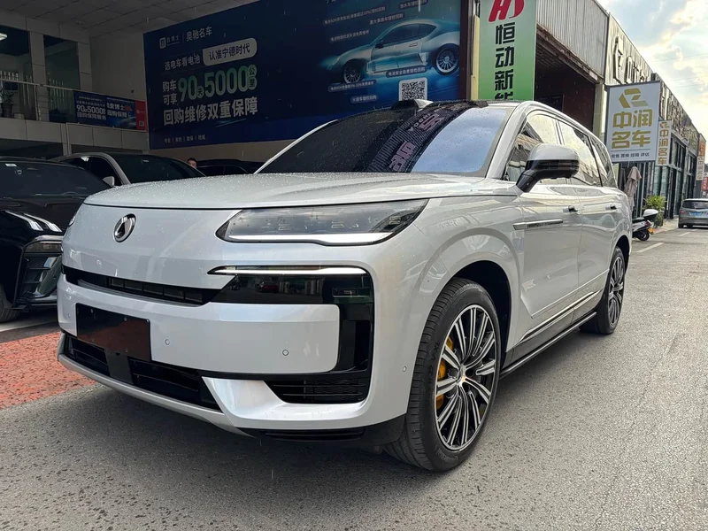 Denza N9